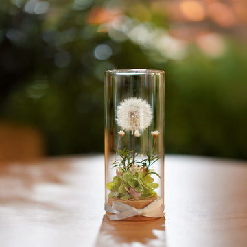 “Wish in a Jar” Preserved Dandelion Cylindrical Glass Dome