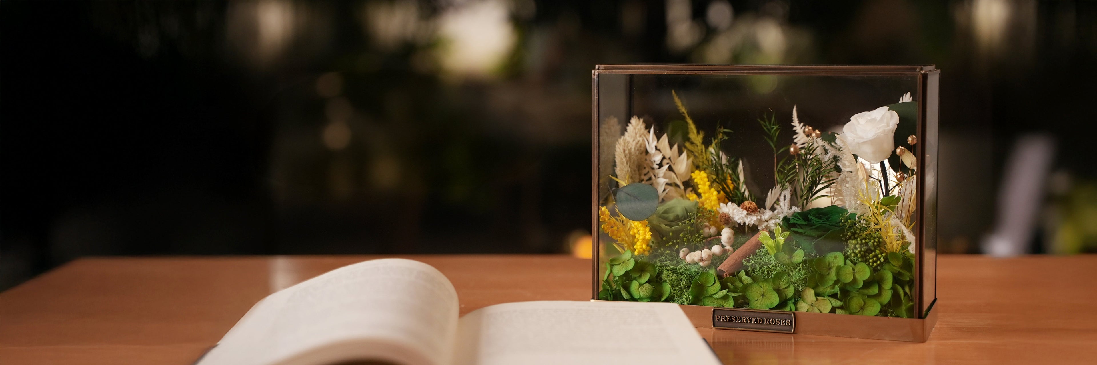 slider image collection_slide_ce9yBp