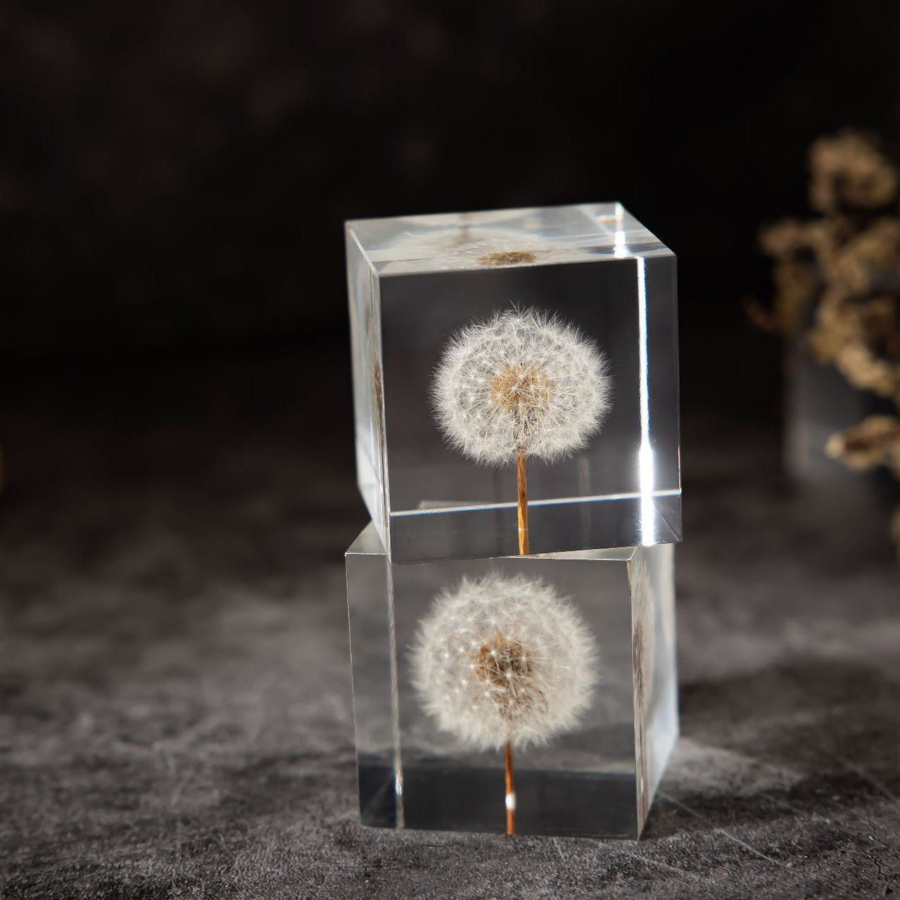 Flower Cube Nightlight Set