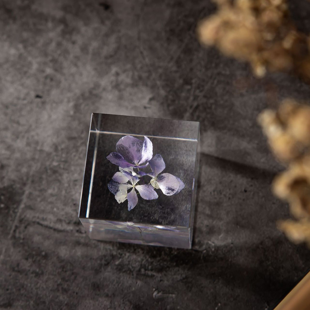 Flower Cube Nightlight Set