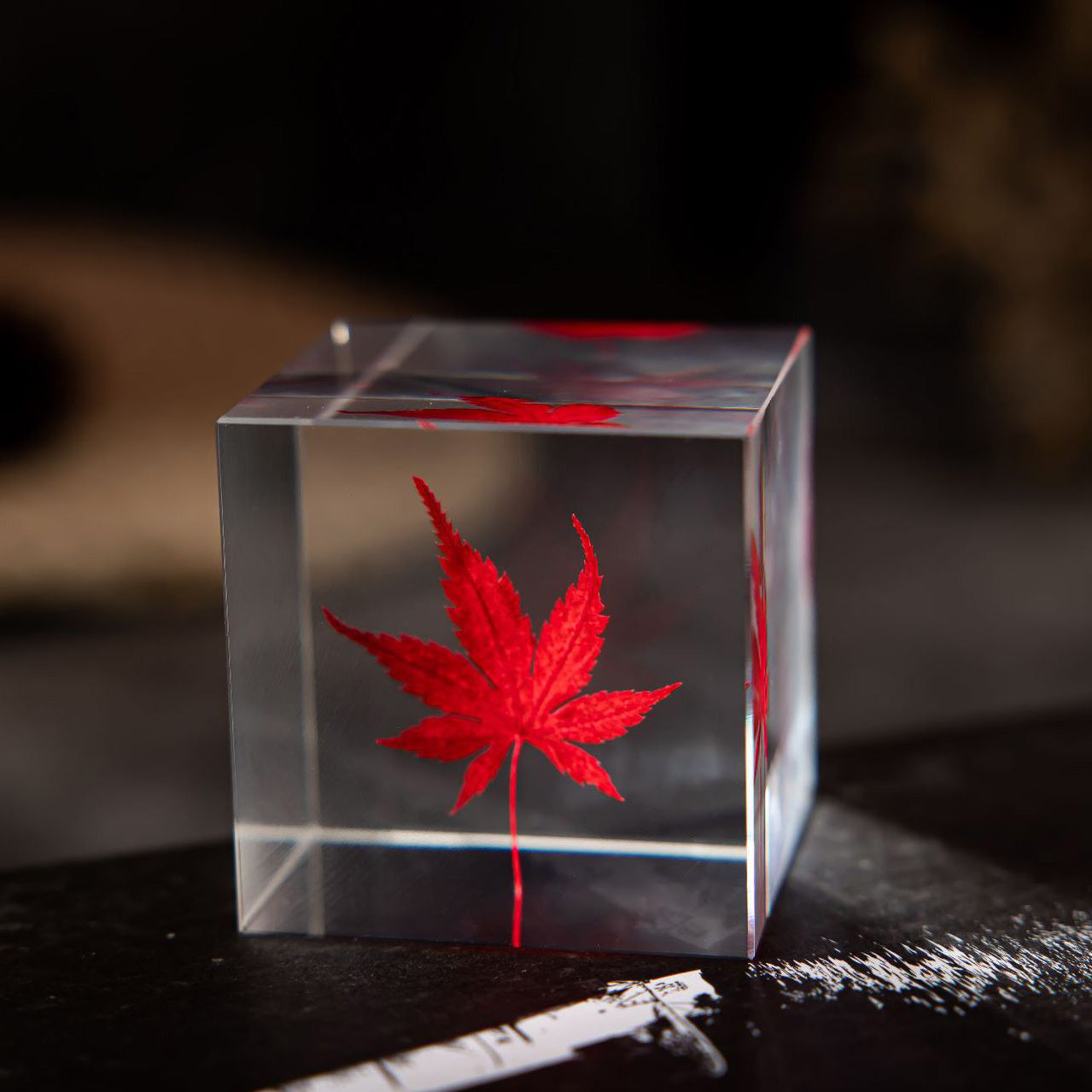 Flower Cube Nightlight Set